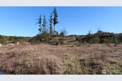 2906 357th Street E, Eatonville, WA 98328 - Photo 5