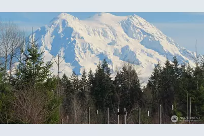 2906 357th Street E, Eatonville, WA 98328 - Photo 1