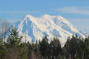 2906 357th St E, Eatonville, WA 98328 - Photo 1