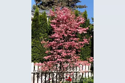 108 E 10th Avenue, Ellensburg, WA 98926 - Photo 29