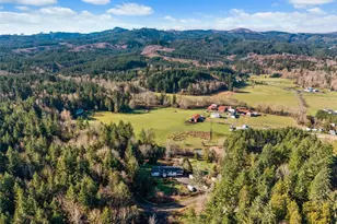 2869 Lincoln Creek Rd, Rochester, WA 98579 - Photo 3