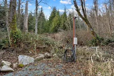 26497 Helmick Road, Sedro Woolley, WA 98284 - Photo 27