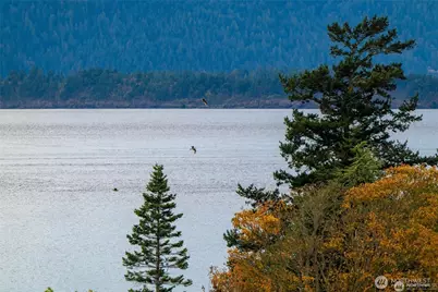 2383 W Shore Drive, Lummi Island, WA 98262 - Photo 23