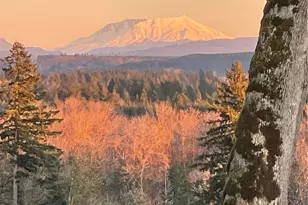 240 Rakoz Rd, Toledo, WA 98591 - Photo 33