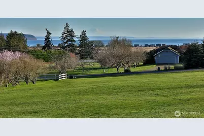 1975 Hillvista Place, Freeland, WA 98249 - Photo 3