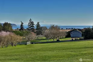 1975 Hillvista Pl, Freeland, WA 98249 - Photo 3