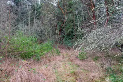 4117 Degraff Road, Oak Harbor, WA 98277 - Photo 15