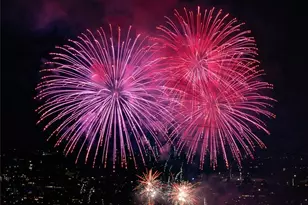 467 Newton St, Seattle, WA 98109 - Photo 9