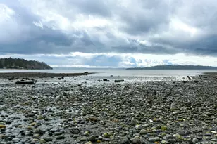 17020 16th Ave SW, Normandy Park, WA 98166 - Photo 33