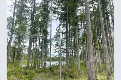 701 W Clear Lake Drive, Shelton, WA 98584 - Photo 5