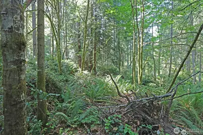 20825 Old Mill Road SW, Vashon, WA 98070 - Photo 1