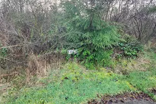 0 Murre Ct, Hoquiam, WA 98550 - Photo 1