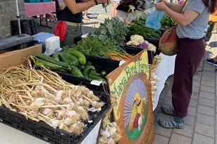 232 A St, Friday Harbor, WA 98250 - Photo 35