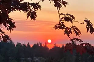 1636 Amy Ct, Bellingham, WA 98226 - Photo 39