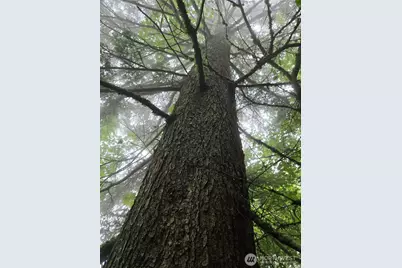 18621 Sr 530 NE, Stanwood, WA 98223 - Photo 5