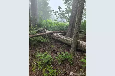 18621 Sr 530 NE, Stanwood, WA 98223 - Photo 7