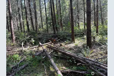 44302 32nd Ave E, Eatonville, WA 98328 - Photo 7