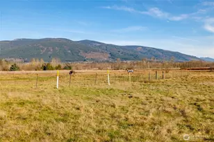 965 N Fruitdale Rd, Sedro Woolley, WA 98284 - Photo 35