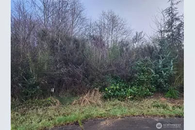 0 Murre Ct, Hoquiam, WA 98550 - Photo 1