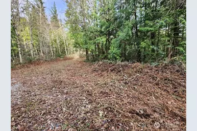 0 Vacant Land 343rd Avenue SE, Ravensdale, WA 98051 - Photo 3