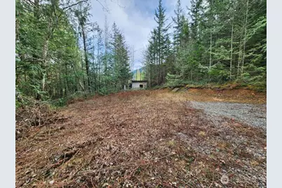 0 Vacant Land 343rd Avenue SE, Ravensdale, WA 98051 - Photo 1