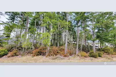 350 E Vine Maple Lane, Union, WA 98592 - Photo 1