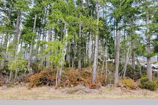 350 E Vine Maple Ln, Union, WA 98592 - Photo 1