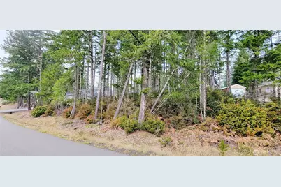 350 E Vine Maple Lane, Union, WA 98592 - Photo 3