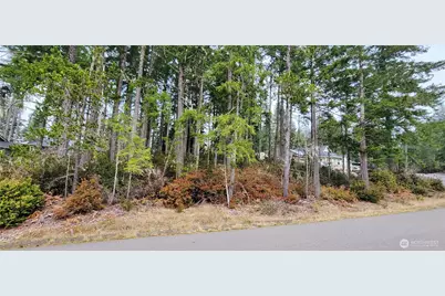 350 E Vine Maple Lane, Union, WA 98592 - Photo 7