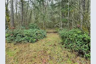 0 End Of Smith Road, Centralia, WA 98531 - Photo 1