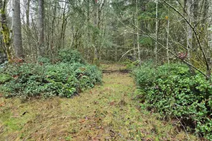 0 End Of Smith Rd, Centralia, WA 98531 - Photo 1