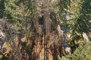 18111 SE 147th St, Renton, WA 98059 - Photo 39