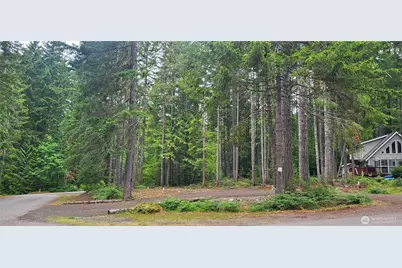 0 N Mt Jupiter Drive, Hoodsport, WA 98548 - Photo 1