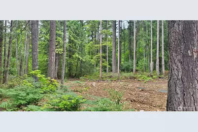0 N Mt Jupiter Drive, Hoodsport, WA 98548 - Photo 9