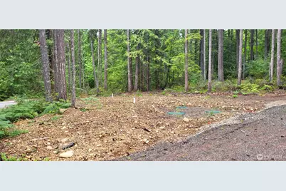 0 N Mt Jupiter Drive, Hoodsport, WA 98548 - Photo 13