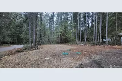 0 N Mt Jupiter Drive, Hoodsport, WA 98548 - Photo 3