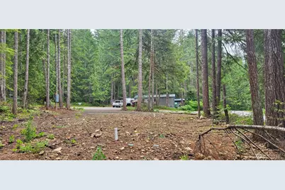 0 N Mt Jupiter Drive, Hoodsport, WA 98548 - Photo 9