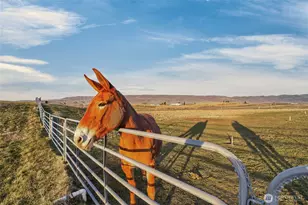 2775 4th St SE, East Wenatchee, WA 98802 - Photo 5