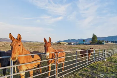 2775 4th Street SE, East Wenatchee, WA 98802 - Photo 7