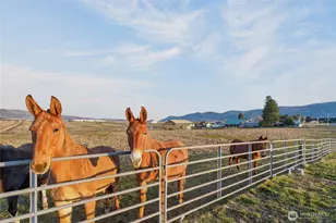 2775 4th St SE, East Wenatchee, WA 98802 - Photo 7