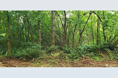 196 Jensen Road, Onalaska, WA 98570 - Photo 37