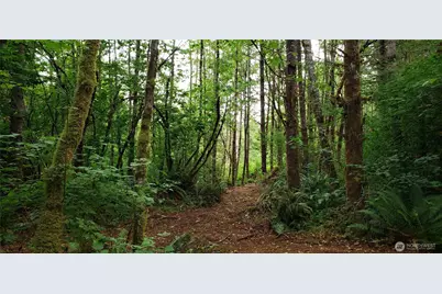 196 Jensen Road, Onalaska, WA 98570 - Photo 33