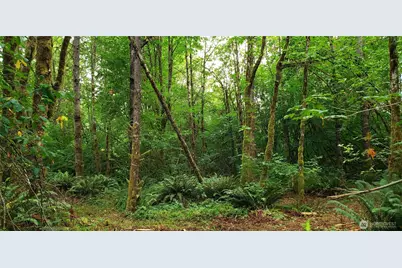 196 Jensen Road, Onalaska, WA 98570 - Photo 39