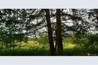 196 Jensen Road, Onalaska, WA 98570 - Photo 17