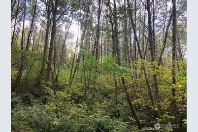 196 Jensen Road, Onalaska, WA 98570 - Photo 13