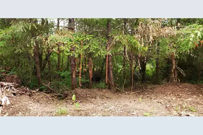 196 Jensen Road, Onalaska, WA 98570 - Photo 5