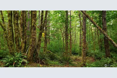 196 Jensen Road, Onalaska, WA 98570 - Photo 35