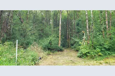 196 Jensen Road, Onalaska, WA 98570 - Photo 23