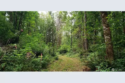 196 Jensen Road, Onalaska, WA 98570 - Photo 29