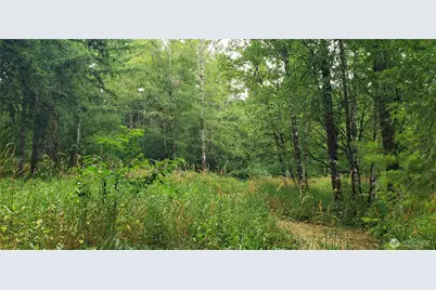 196 Jensen Road, Onalaska, WA 98570 - Photo 19